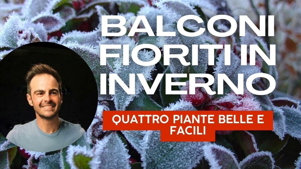 Balcone fiorito e colorato anche d'inverno
