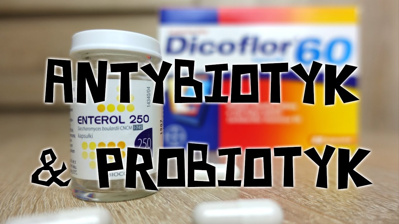 PROBIOTYKI PRZY ANTYBIOTYKU - JELITA #3