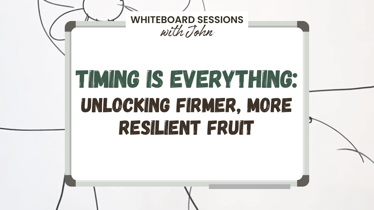 Timing is Everything: Unlocking Firmer, More Resilient Fruit