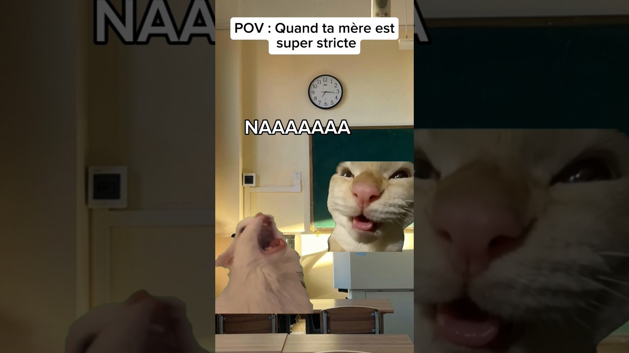 POV : Quand ta m&egrave;re est super stricte #humour #drole #sketch #pov #catmemes
