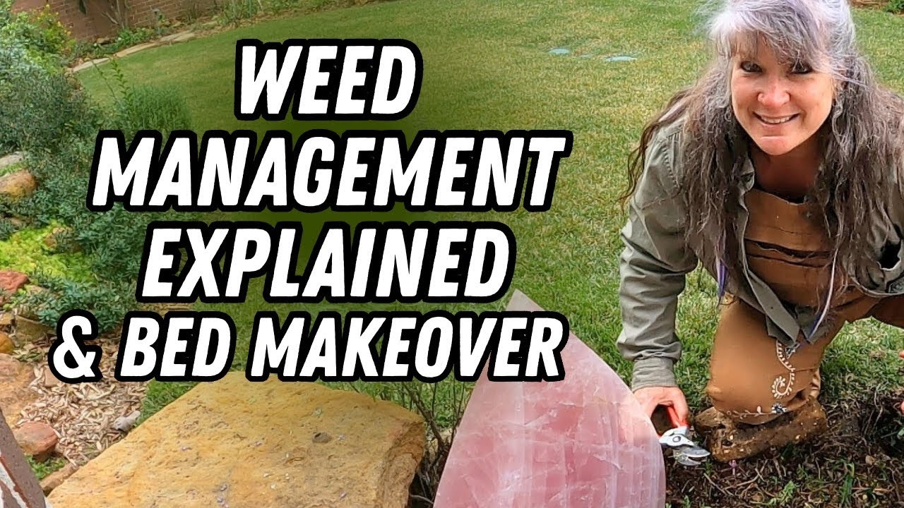 Weed Management Terms & Techniques & Small Garden Bed Makeover