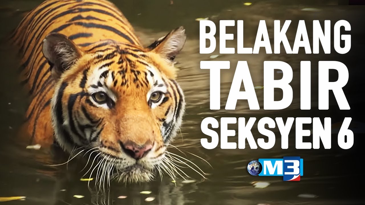 Majalah 3 (2020) | Belakang Tabir Seksyen 6 (19 Oktober)
