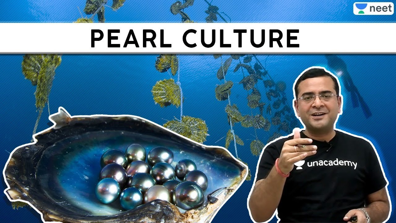 NEET Knowledge: Pearl Culture | Unacademy NEET | Pradeep Singh