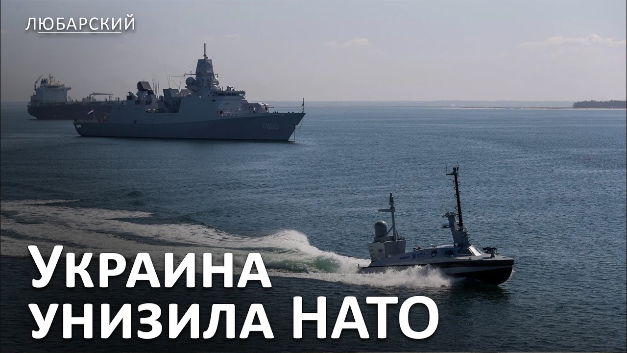Украинский боевой опыт против НАТО | Почему украинский ритейл растёт