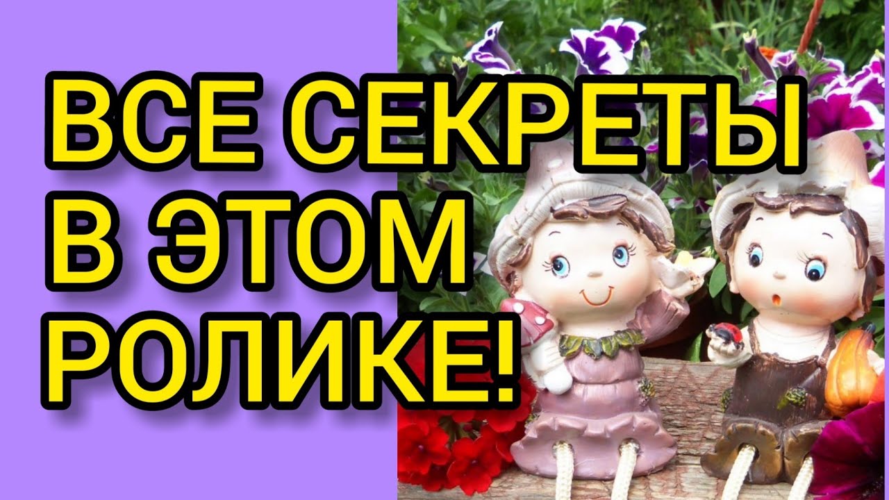 ПЕТУНИЯ по дням!//Все секреты от А до Я!