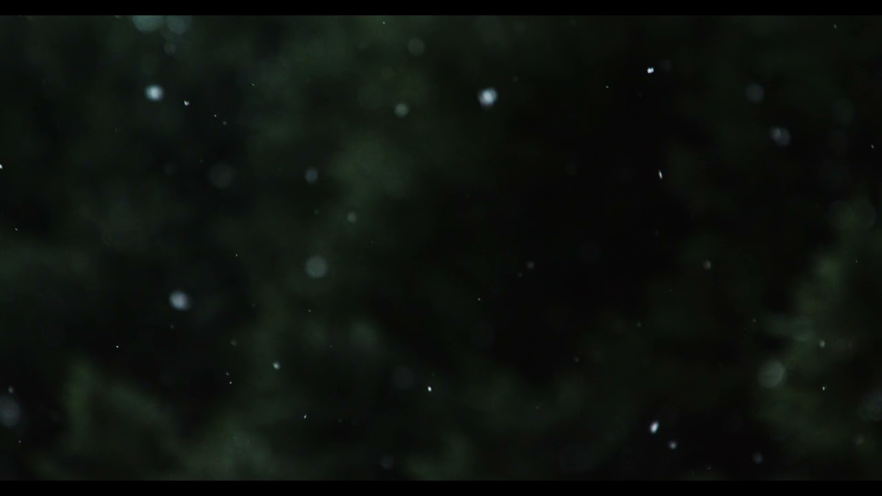 Jazz Octet - White Christmas