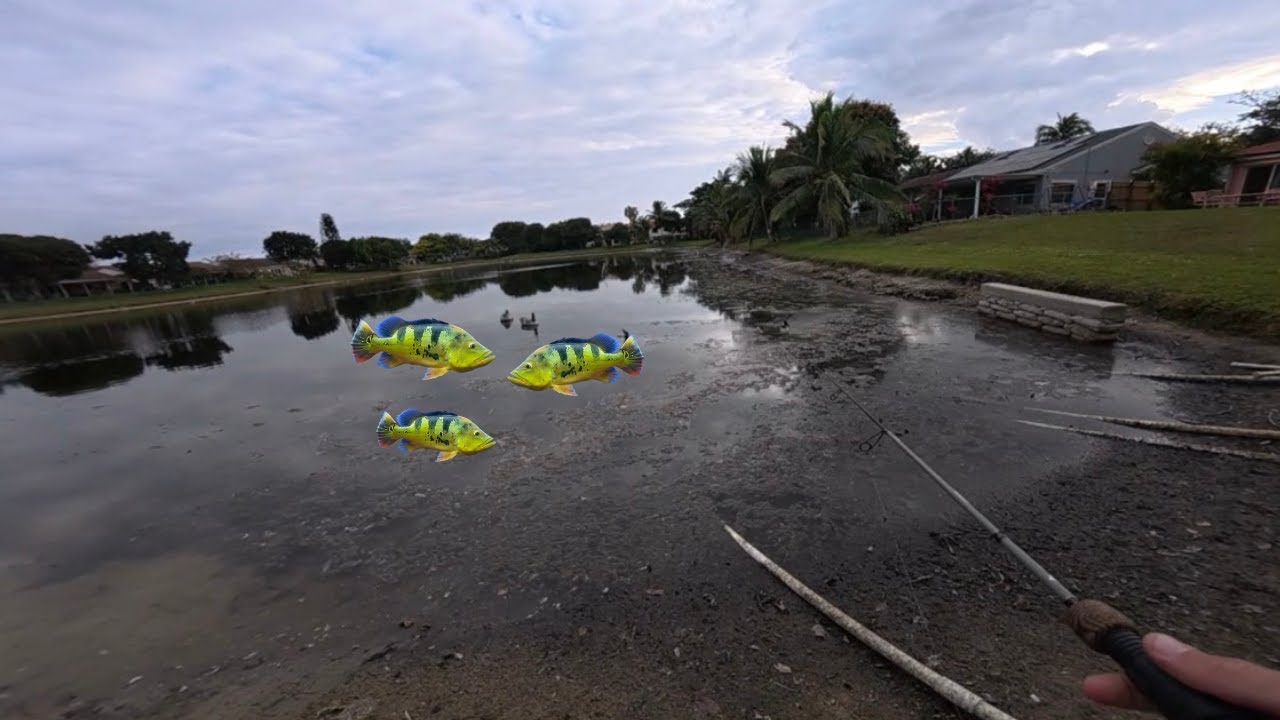Fishing for 3 days straight for peacock bass in Miami  (male Karen) MUST WATCH!!!