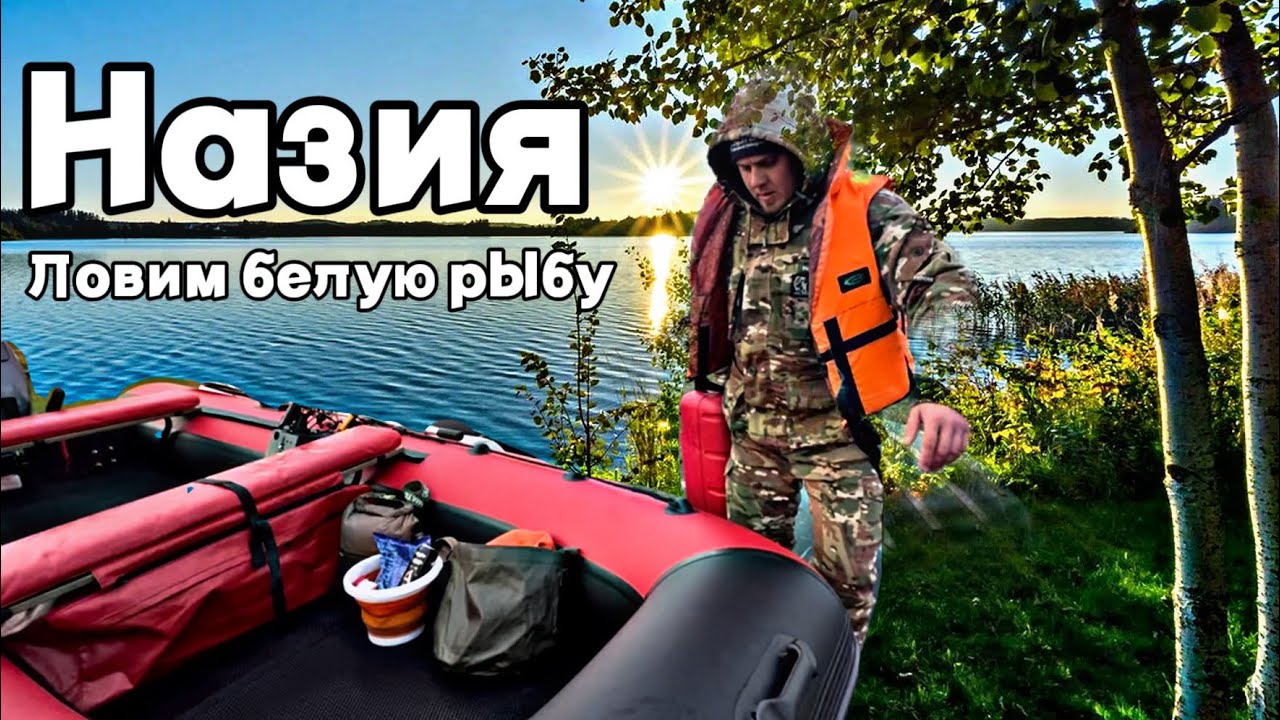 Рыбалка в Назии. Новоладожский канал. Поплавок 2025