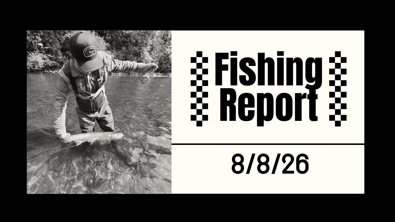 Fishing Report 8/8/25