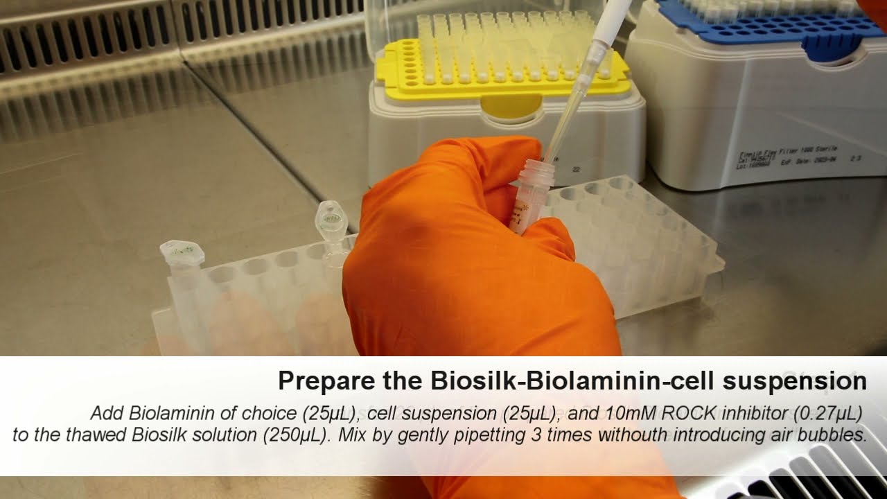 Biosilk technical guide