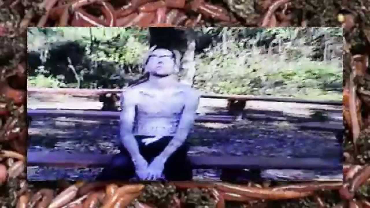 $UICIDEBOY$ - NOXYGEN [Prod. Oxytocin Dreams]