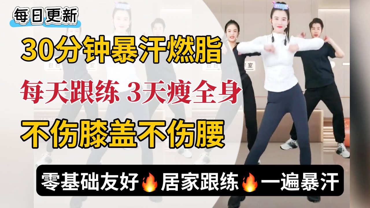 30分钟暴汗燃脂，预防老化甩脂肪 | 有氧+无氧  站立无跑跳 | 瘦肚子瘦侧腰瘦全身 | 零基础 居家跟练