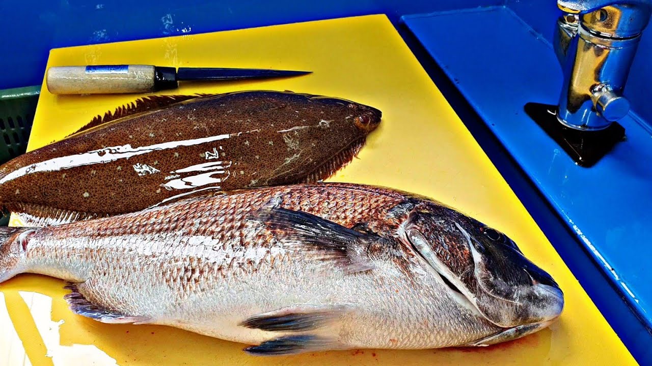 лосось, красный морской лещ, палтус, три вида рыб, сашими