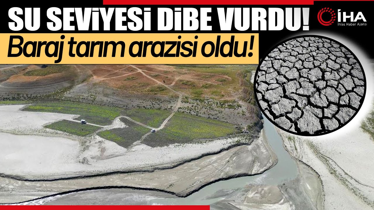 Menzelet Barajı'nda Sular Çekildi, Köylüler Acur Ekti