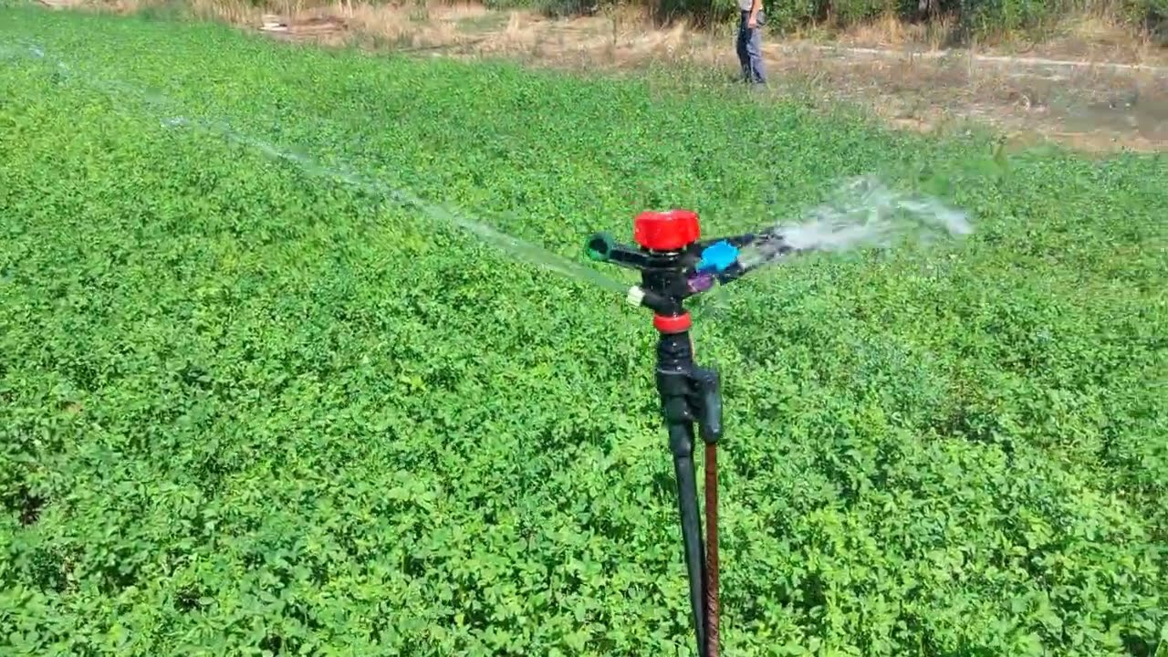 Cum am Irigat ieftin cu o pompa submersibila si 28 de Aspersoare