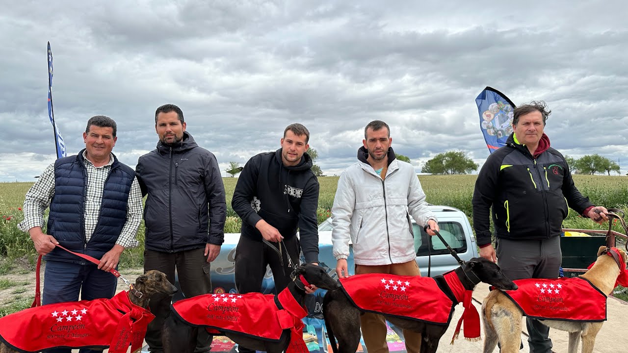 2º Carrera de Liga y Copa Madrid  carrion de Calatrava recta 2025 ( Federacion española de galgos)