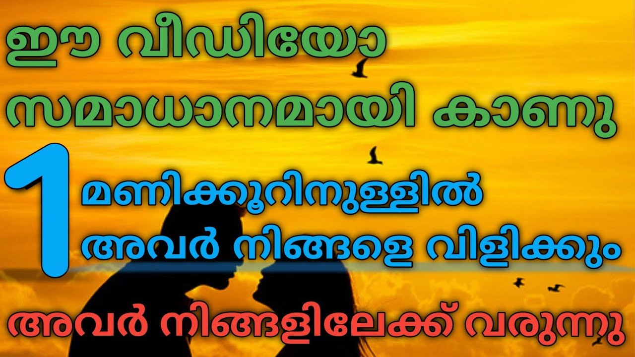 ഈ വീഡിയോ കണ്ടാൽ ഒരു മണിക്കൂറിനുള്ളിൽ അവർ നിങ്ങളെ വിളിക്കും ❤️💯 | #tarot#astrology 
