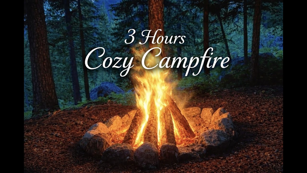 3 Hours Cozy Campfire Sounds 🔥 | Subtle Forest Night Ambience