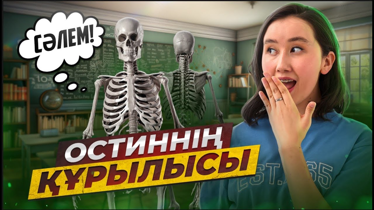 Остиннің құрылысы | ҰБТ2026 биология