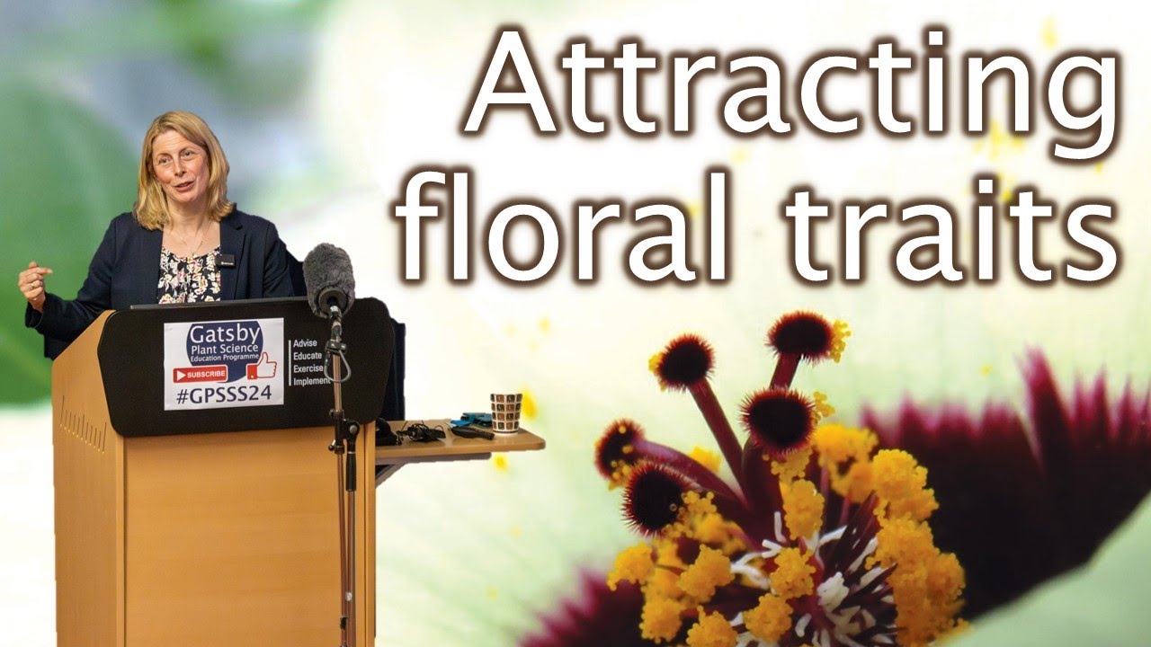 Floral secrets: How bees see what we don&rsquo;t and the evolution & development that led to these traits