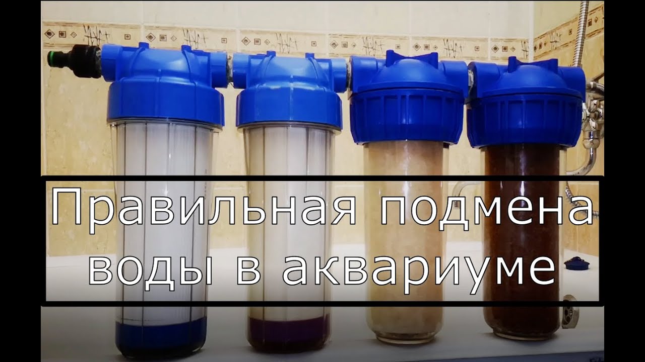 Правильная и безопасная подмена воды в аквариуме!