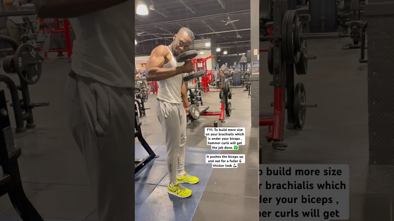 The Reason Why Hammer Curls Is Important On Arm Day 🦾. 