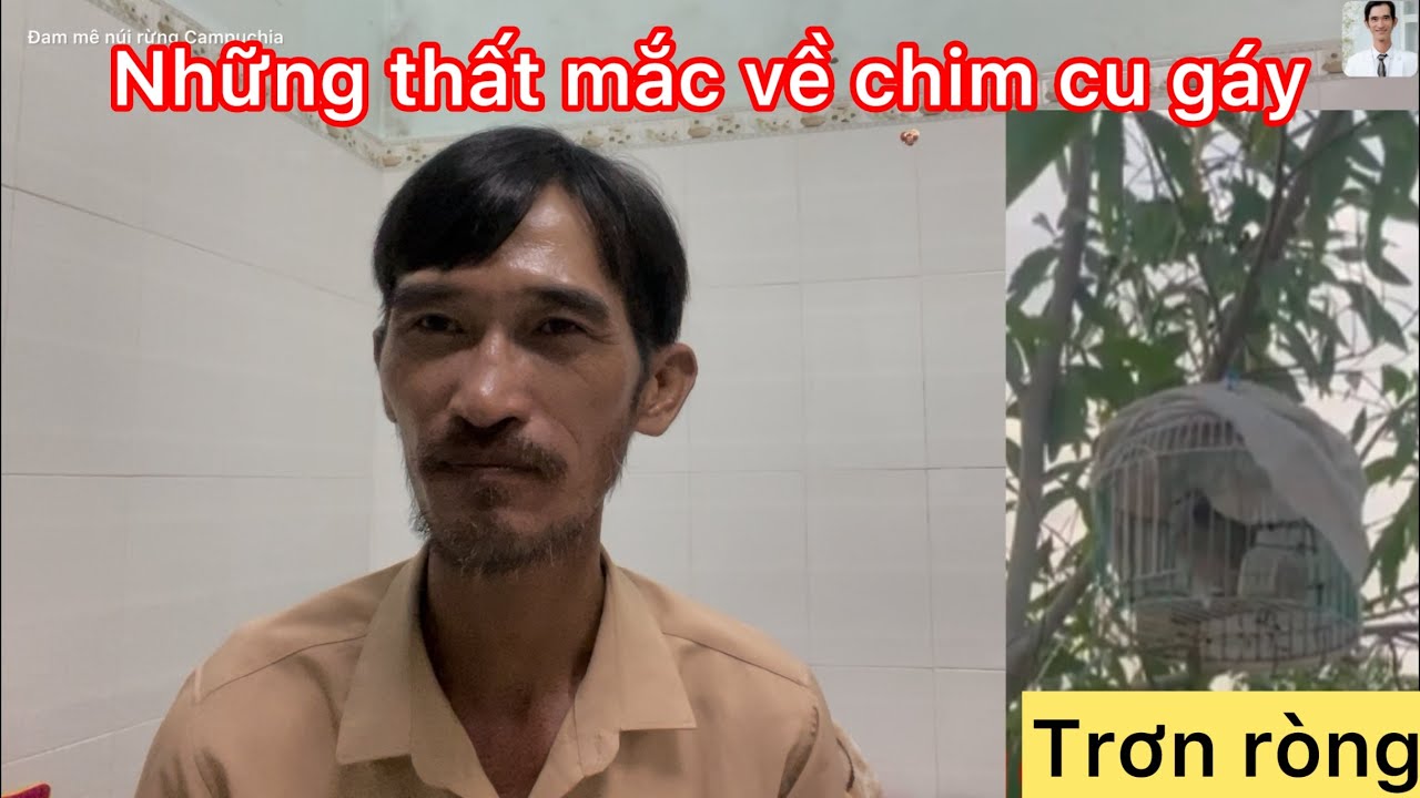 Đam mê núi rừng Campuchia- đôi lời chia sẽ những trường hợp thường gặp khi chơi chim cu gáy