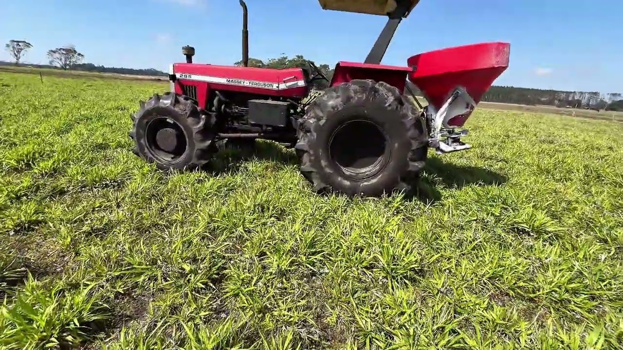 Massey Ferguson 295 Aplicando Calcário Capim Mavuno #viral #viralvideo #agriculture 