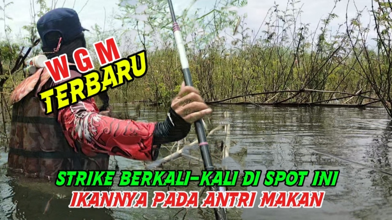 WGM Terbaru ‼️Strike ber kali-kali di spot ini❗Ikan pada ngantri