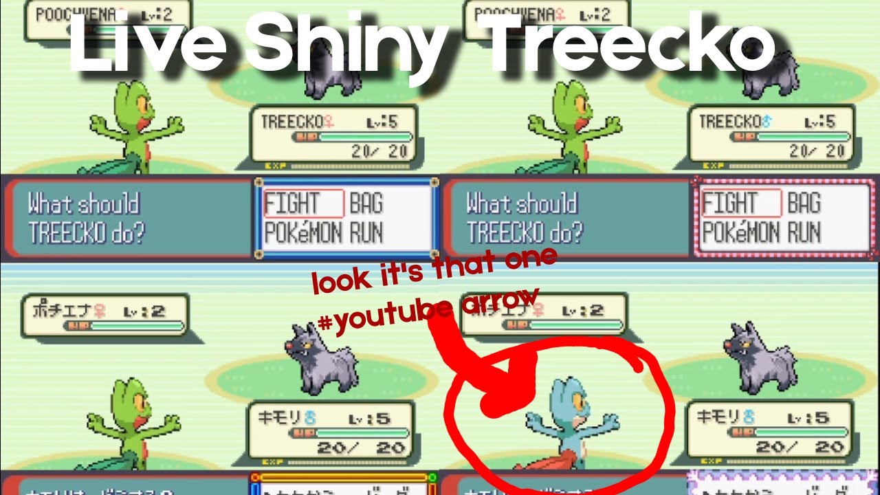 LIVE Shiny Treecko while Quad Hunting in Pokemon Ruby and Sapphire