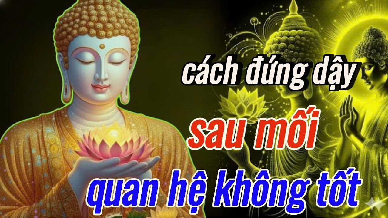 Phật Dạy: Cách Hồi Phục Lại Bản Thân - Sau Những Mối Quan Hệ Không Tốt