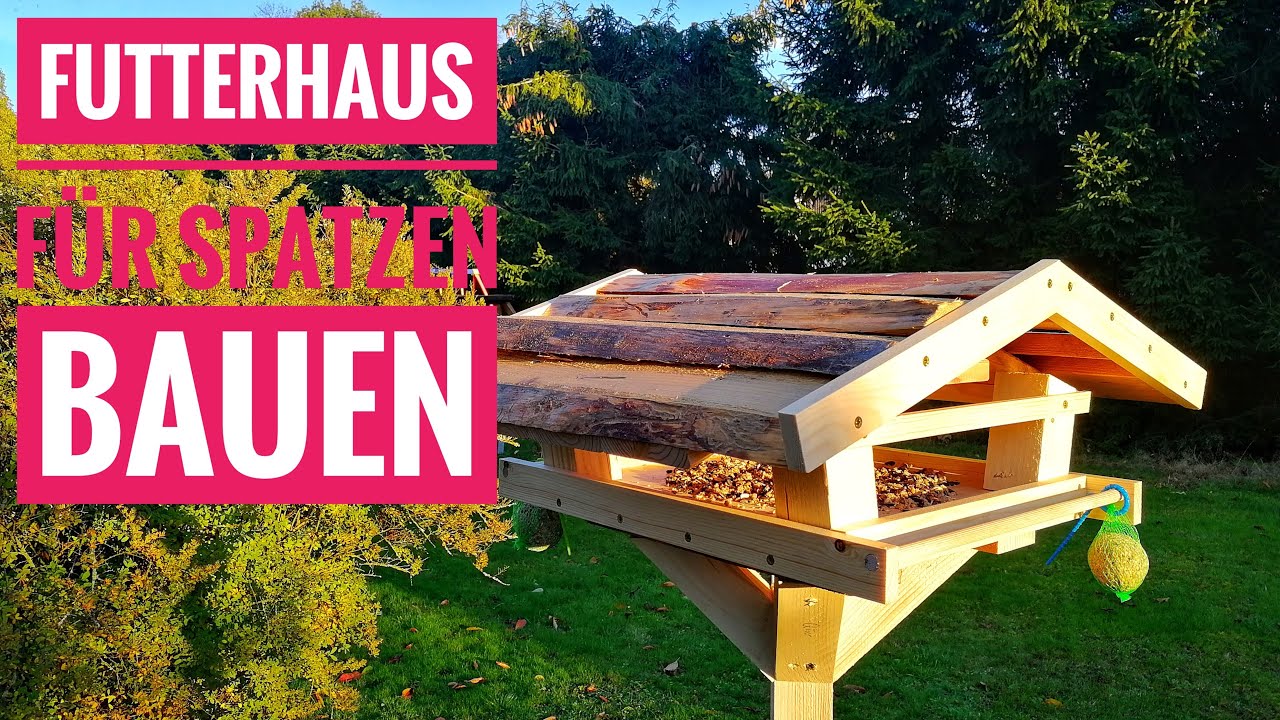 Futterhaus f&uuml;r Spatzen und andere Kleinv&ouml;gel selber bauen