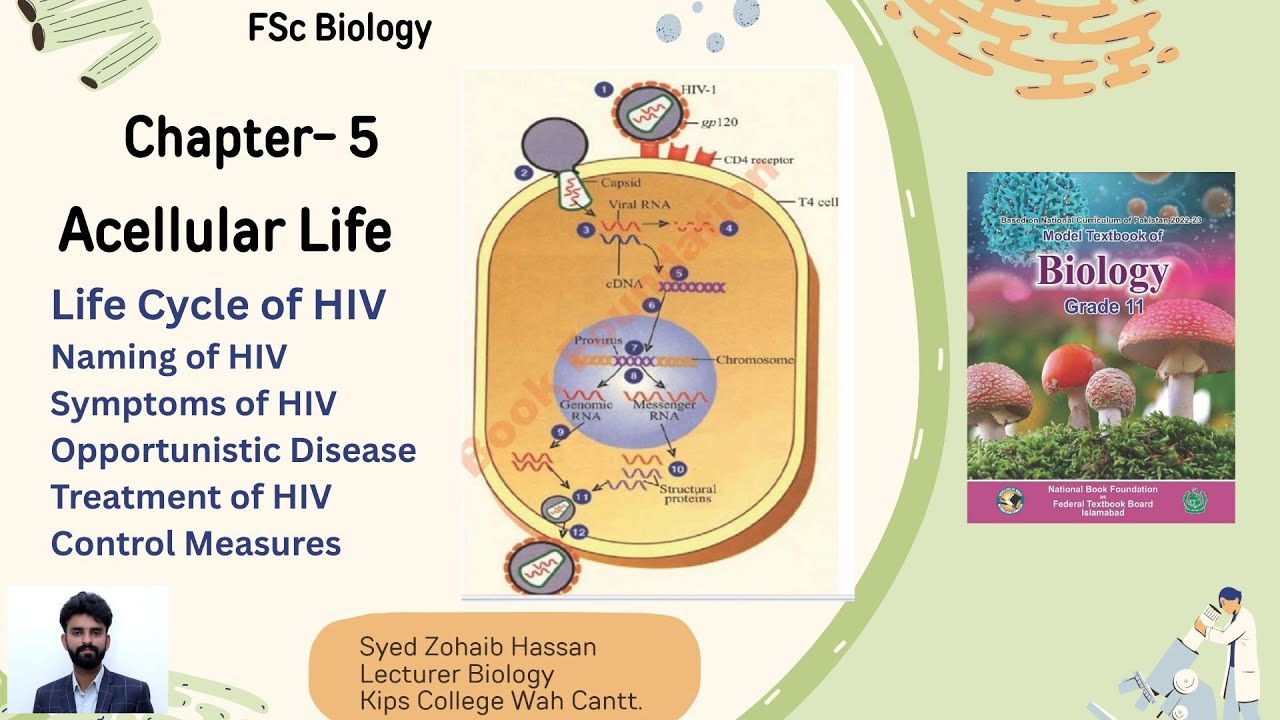 Lect 06 | Life Cycle of HIV  | Chap 05: Acellular Life |1st year Biology |By Zohaib Hassan
