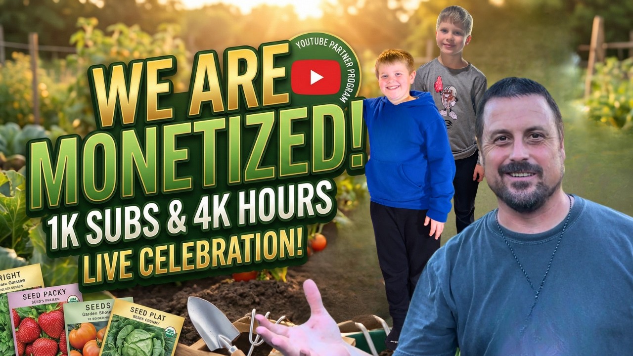LIVE!!! We are Monetized!!!