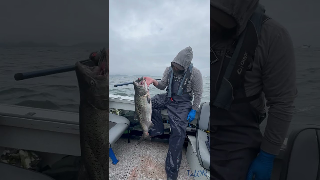 Talon 10-4C | 10ft 10-40lbs 360 Trolling Rod