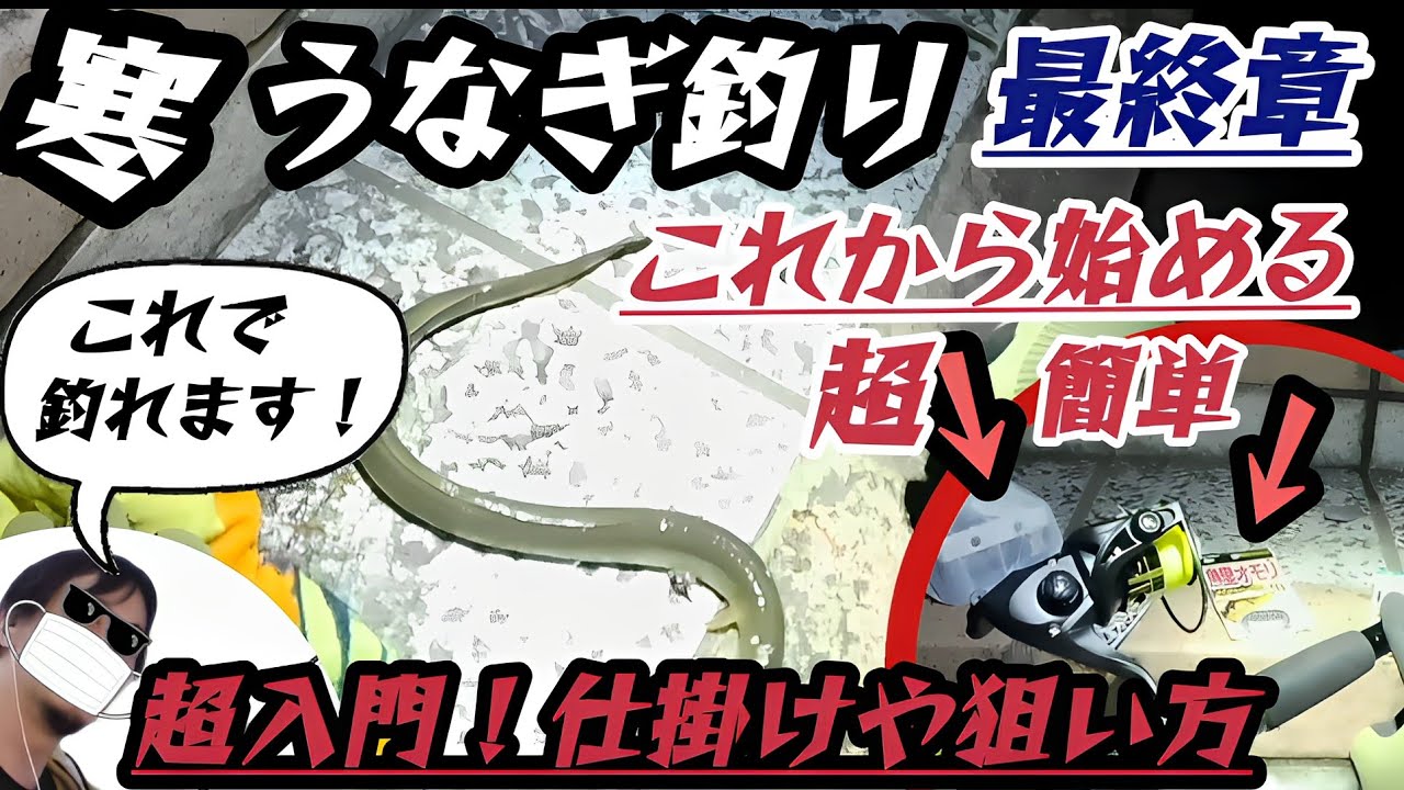 【寒うなぎ釣り】これから始める超簡単、仕掛けや狙い方！
