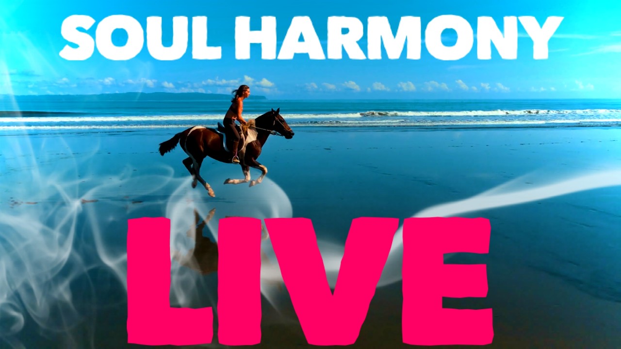 Soul Harmony Live 💚 Best Music Therapy  🌿  Peace and Love💚