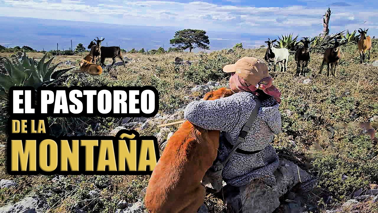 Nancy y sus Cabras en la Montaña | Una Vida de Paz en la Sierra