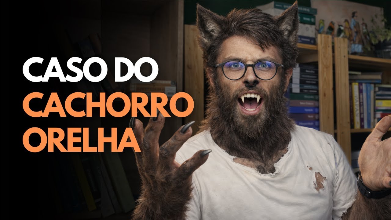 O melhor cachorro NÃO vale mais que o pior ser humano (sim, eu disse)