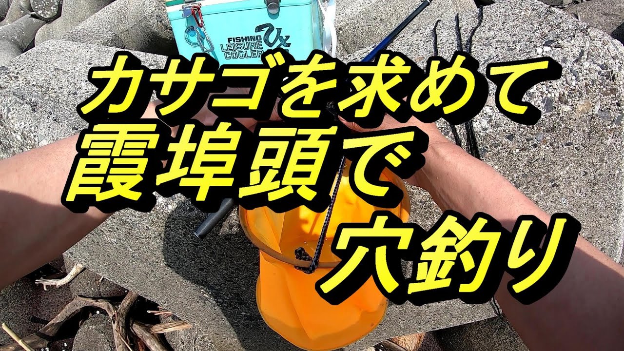 【三重県四日市市】霞埠頭テトラで穴釣り