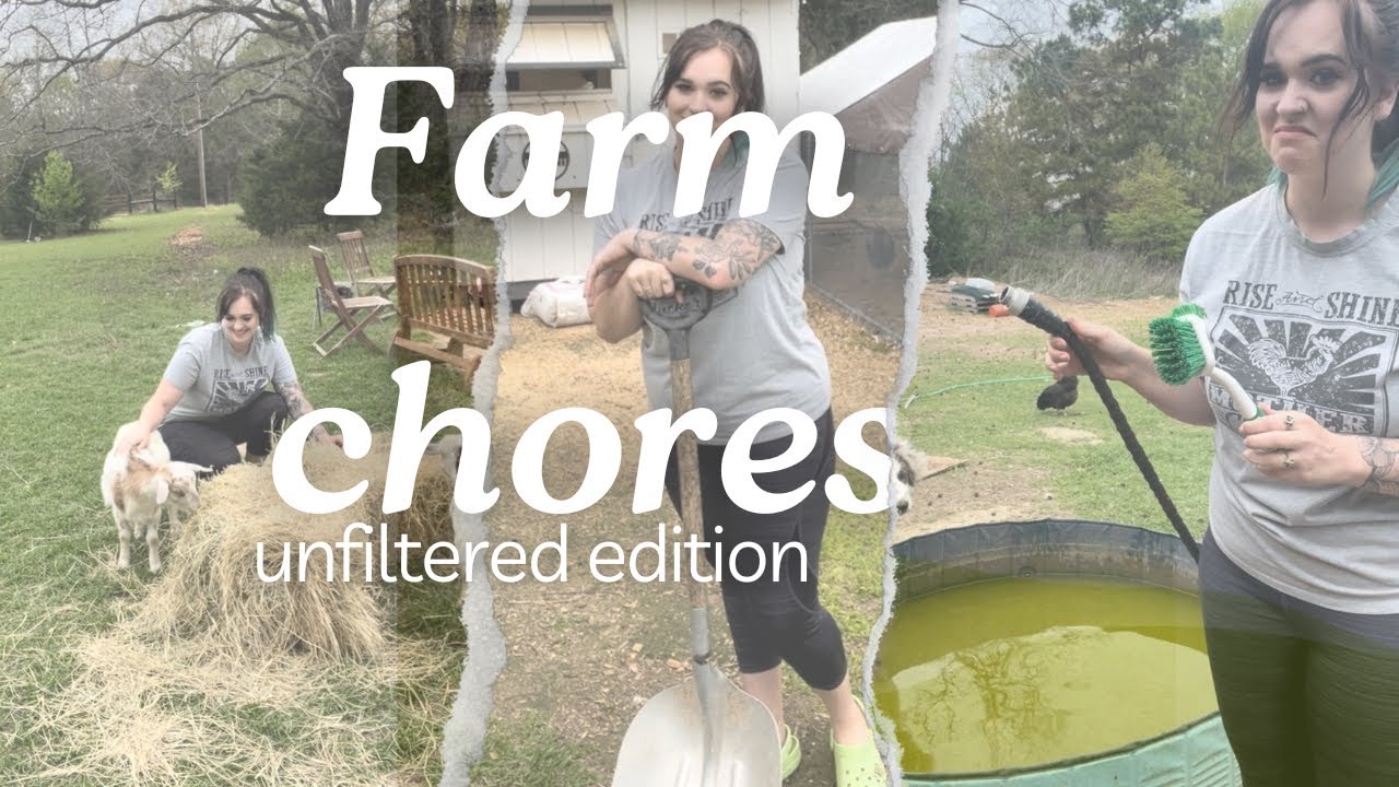 Homestead chores, reality version.