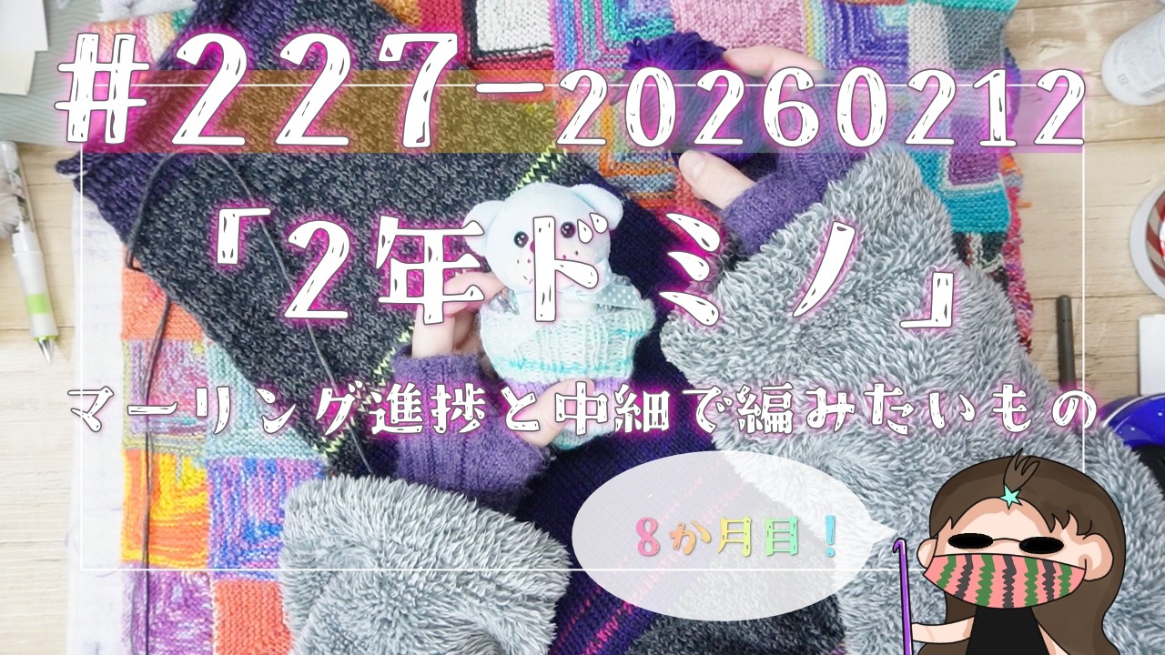 【227#2年ドミノ】2月12日ドミノ編み←マーリング編パンツ進捗と中細で編みたいものなど