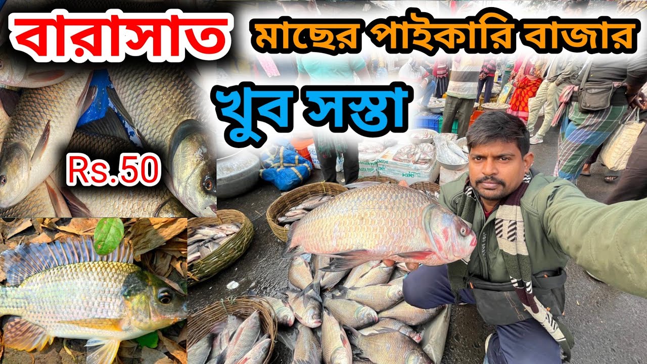 বারাসাত মাছের পাইকারি বাজারে তোপসে সহ সমস্ত  মাছ সস্তা || Barasat wholesale fish market #fishmarket 