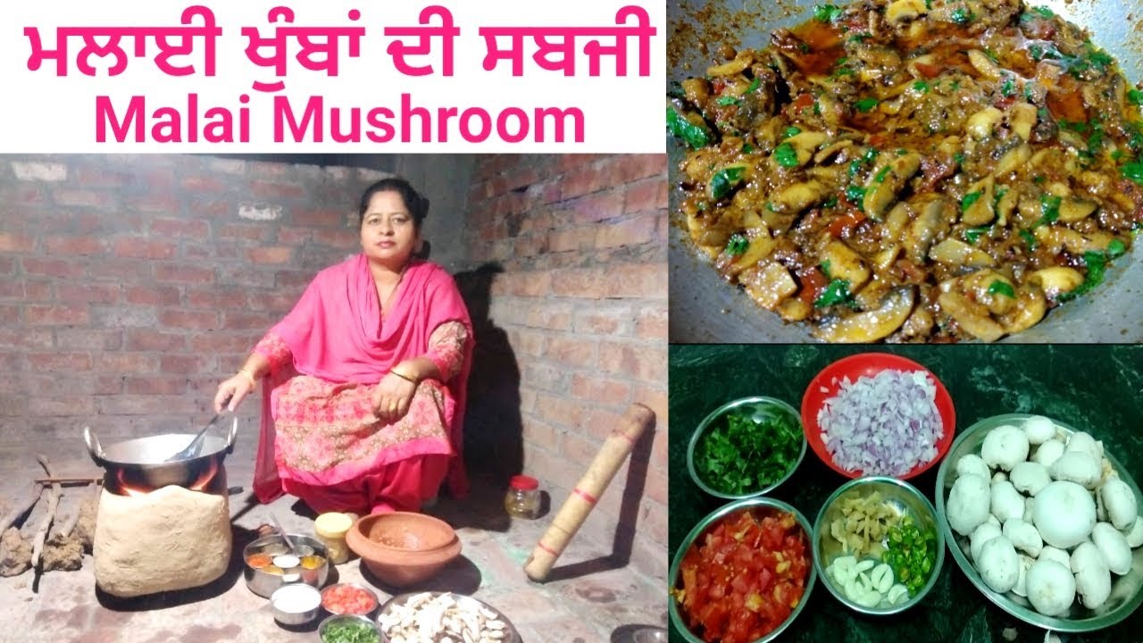 Malai Mushroom Recipe || Khumba De Sukhi Sabji || मशरुम मलाई || Village Life of Punjab