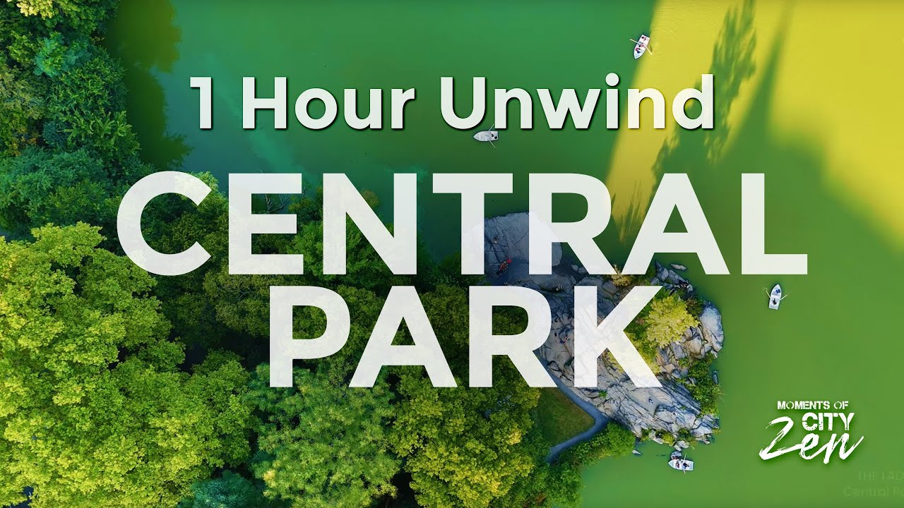 Come Soar Above Central Park | Your 1 Hour Aerial Escape | Unwind