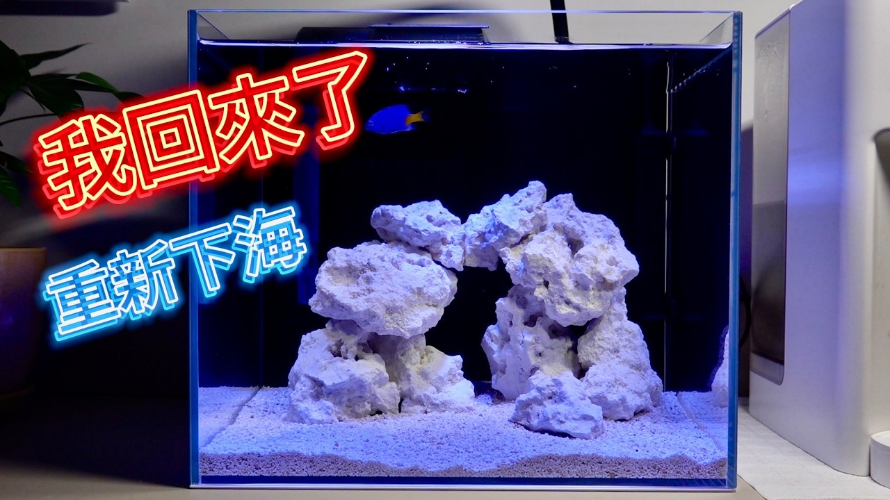 EP.1 | 12吋微珊瑚缸開缸全過程 | #nanoreef #saltwatertank  #海水魚