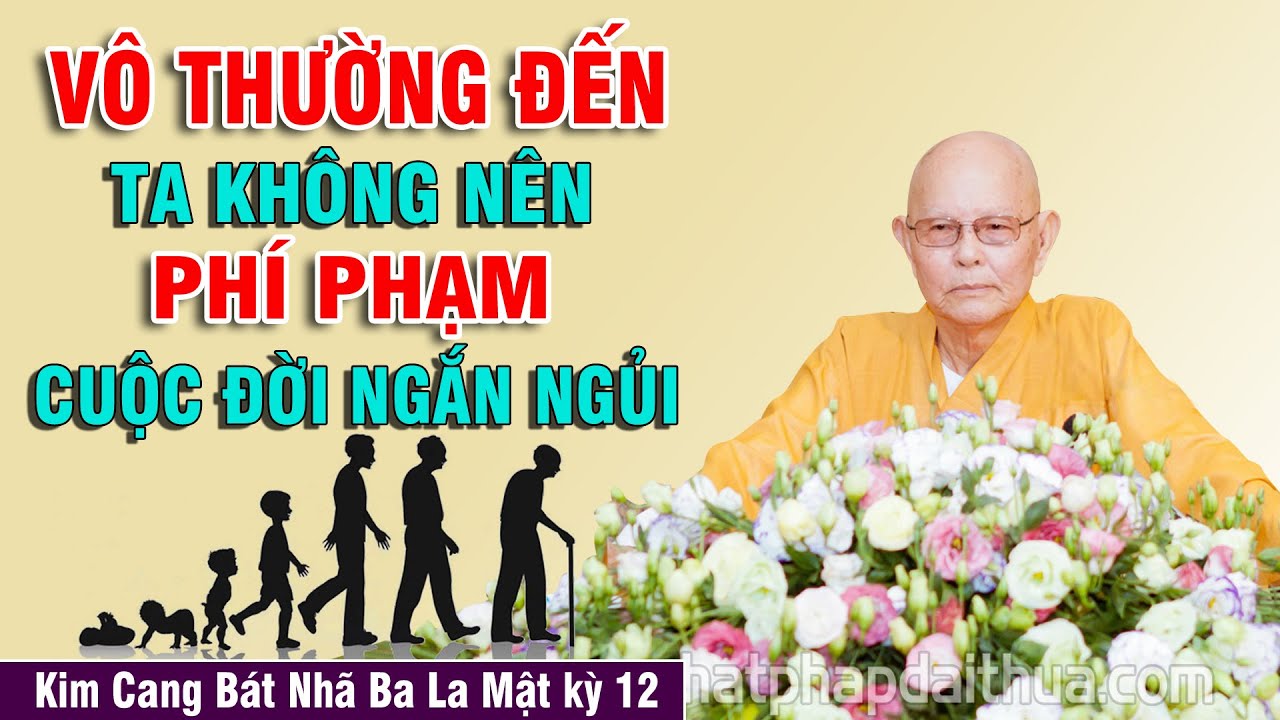 Vô Thường Đến Không Nên Phí Phạm Cuộc Đời | Kinh Kim Cang Bát Nhã Ba La Mật kỳ 12 - HT.Từ Thông