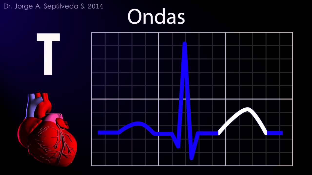 Electrocardiografía Básica (Parte 1/4)