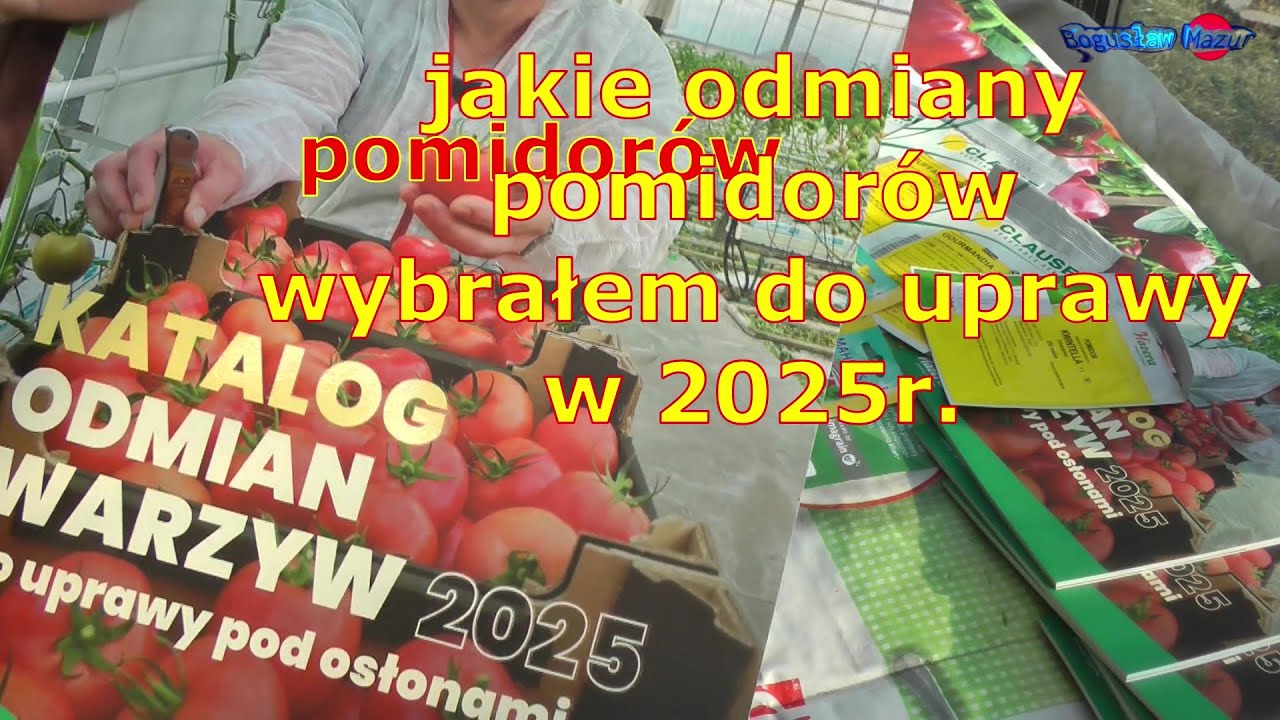 jakie odmiany pomidorów wybrałem do uprawy w 2025r