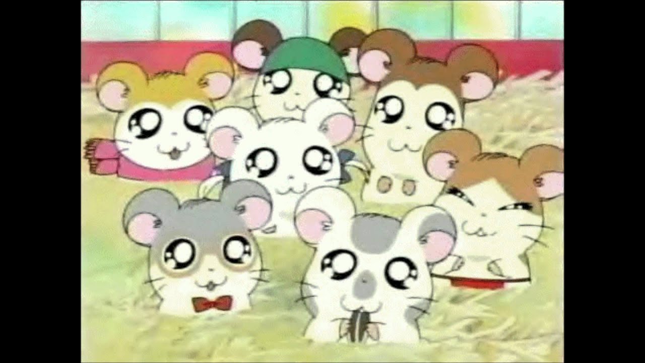 Hamtaro Japanese OP